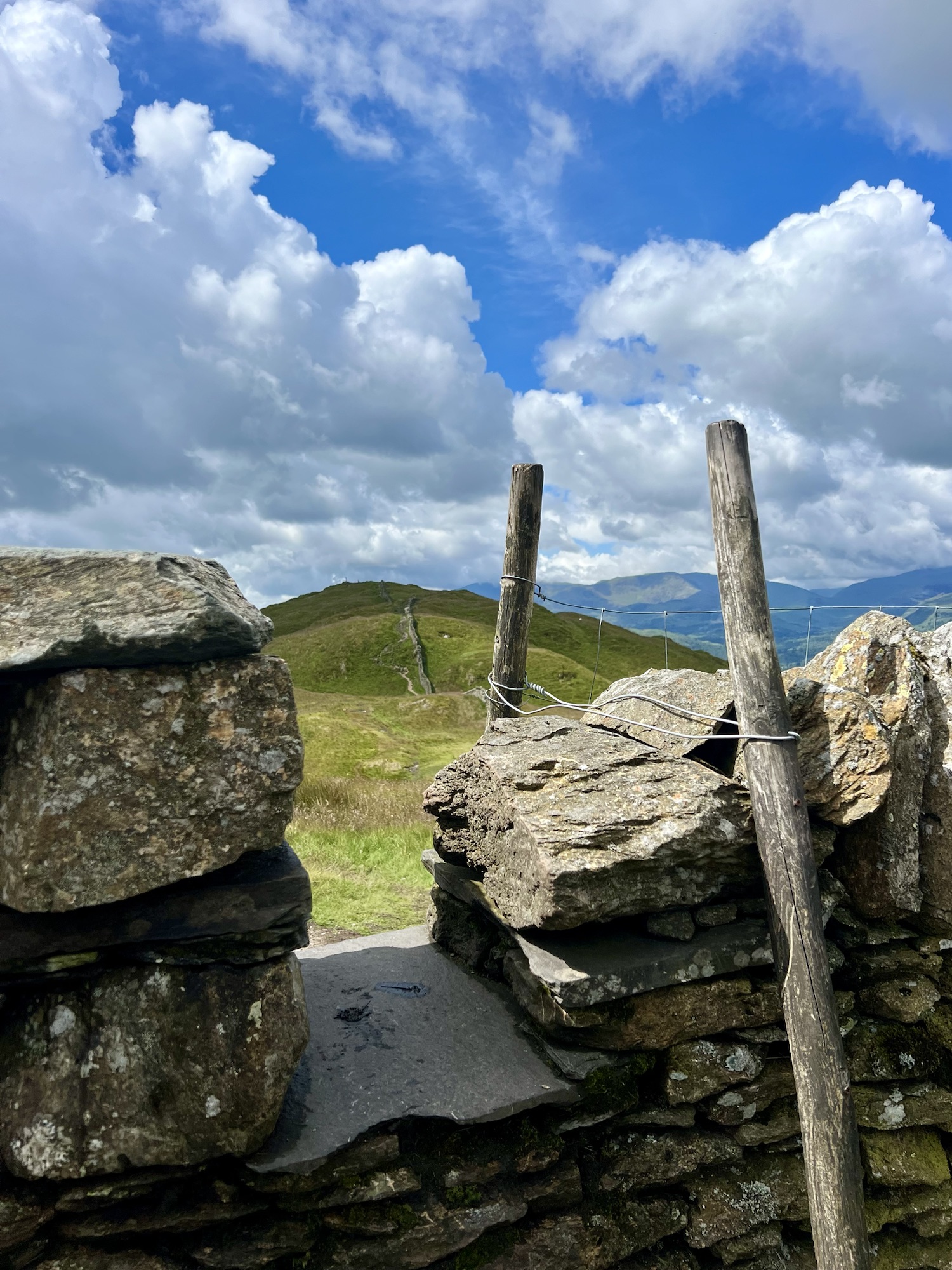 Kilimanjaro Training has started!