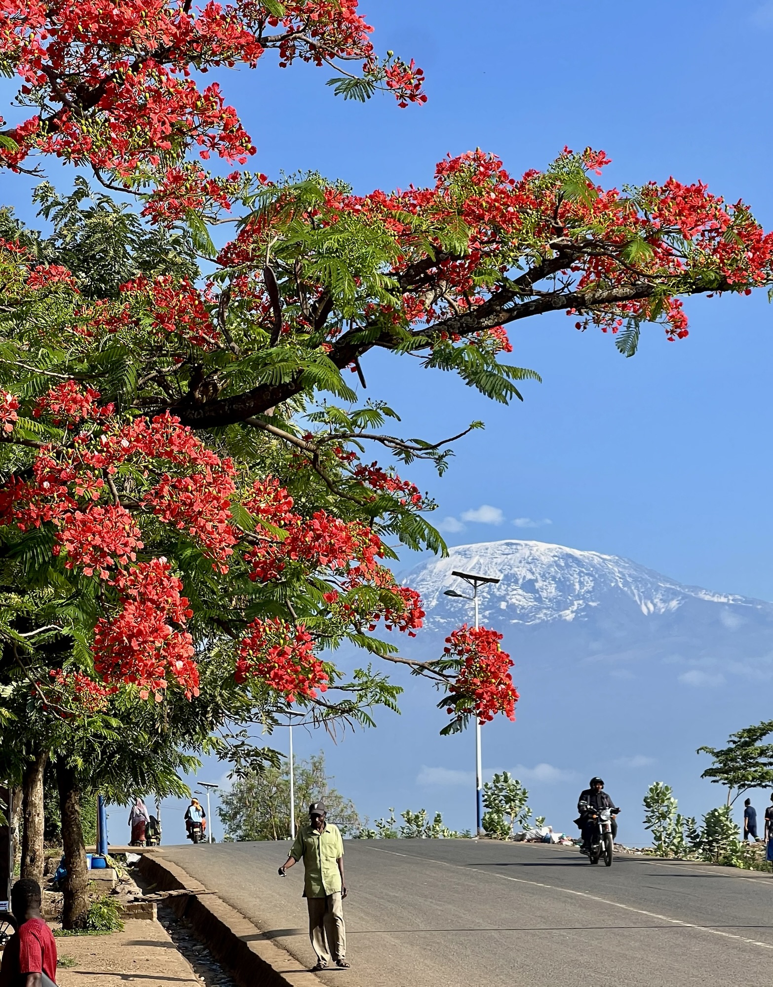 A Triumph Beyond Words — Kibo Hut to Uhuru Peak. The hardest day ever.