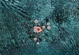 TIL Therapy for Melanoma: Turning Your Own Immune Cells Into a Powerful Cancer Treatment